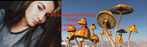 apvp Баксан