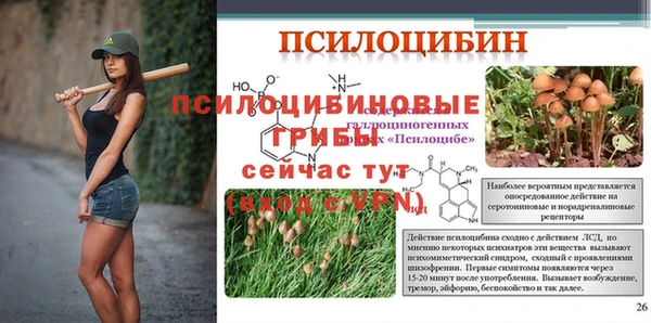 apvp Баксан
