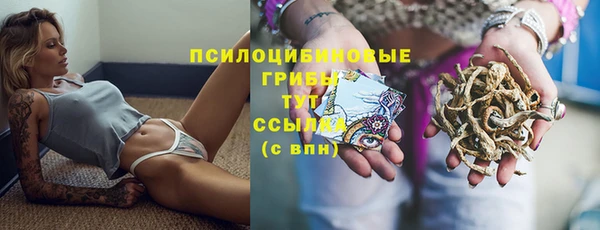 амф Белоозёрский