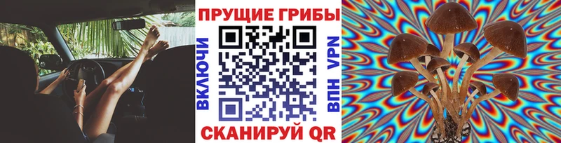 Галлюциногенные грибы ЛСД Туймазы